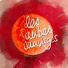 Logo of the association Les Aubes Sauvages